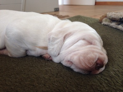 2EF40F2C-C4B6-48B9-B5E7-B7074C3C91B2 1 105 c